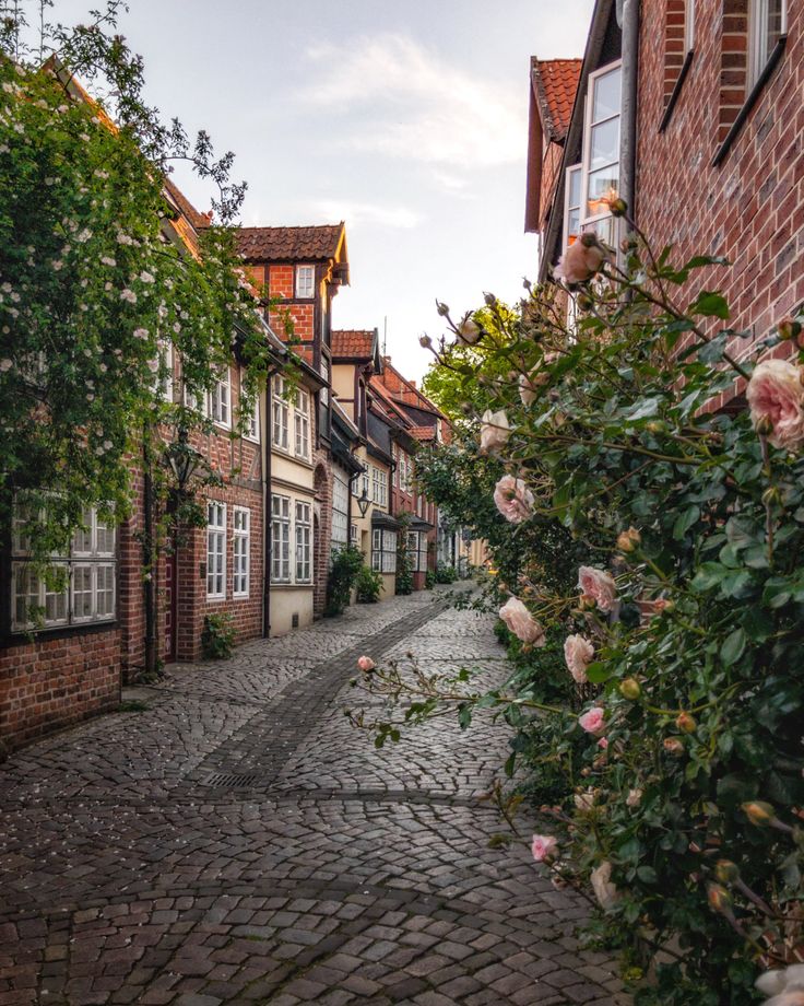 Menemukan Ketentraman di Jalan yang Sama
